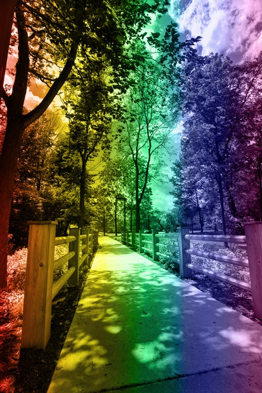 Rainbow pride colors overlaying photo of walking path on campus.